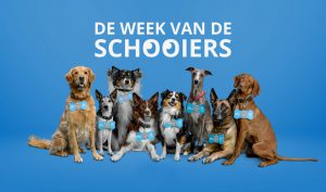 week van de schooiers