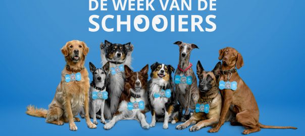 week van de schooiers